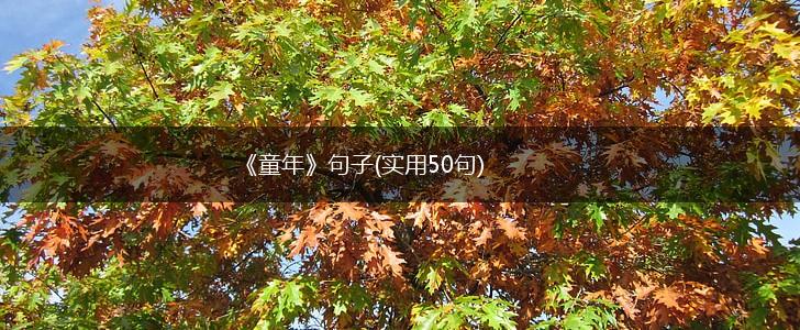 《童年》句子(实用50句),第1张