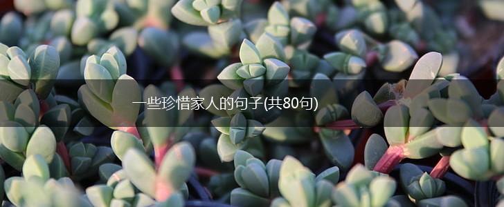 一些珍惜家人的句子(共80句),第1张