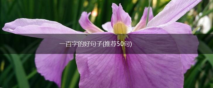 一百字的好句子(推荐50句),第1张