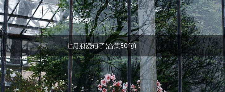 七月浪漫句子(合集50句),第1张