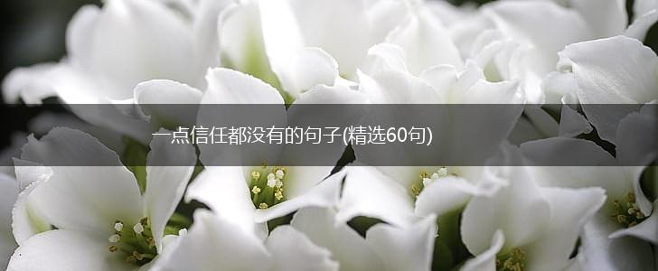 一点信任都没有的句子(精选60句),第1张