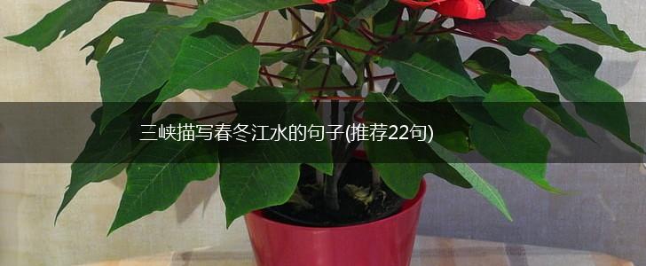 三峡描写春冬江水的句子(推荐22句),第1张