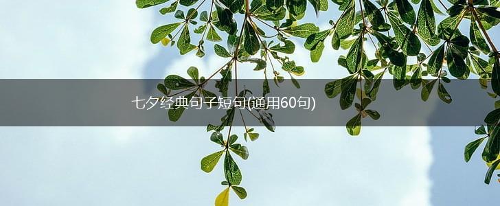 七夕经典句子短句(通用60句),第1张