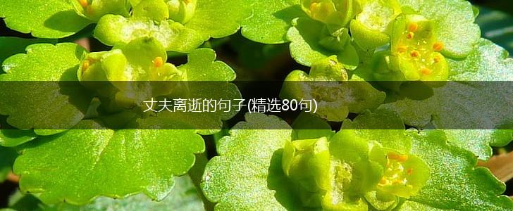 丈夫离逝的句子(精选80句),第1张