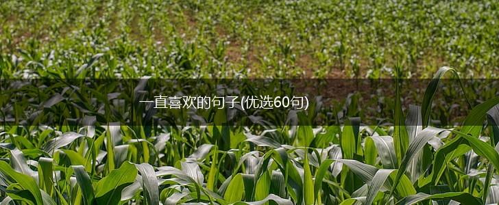 一直喜欢的句子(优选60句),第1张