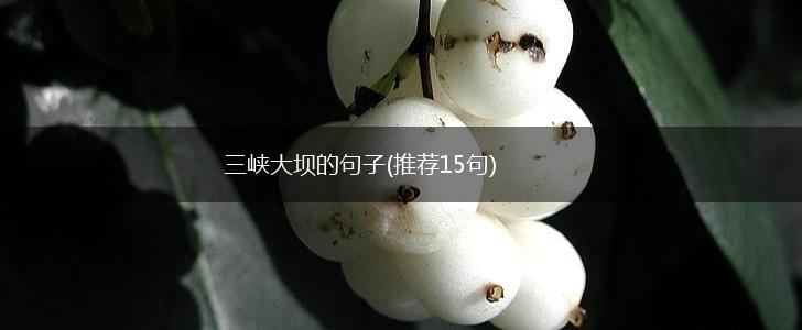 三峡大坝的句子(推荐15句),第1张