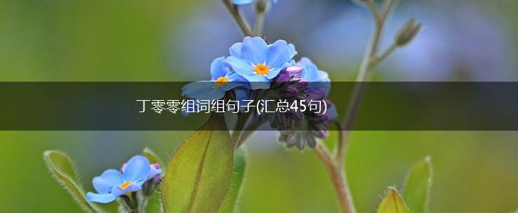 丁零零组词组句子(汇总45句),第1张
