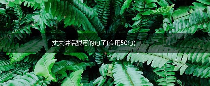 丈夫讲话狠毒的句子(实用50句),第1张