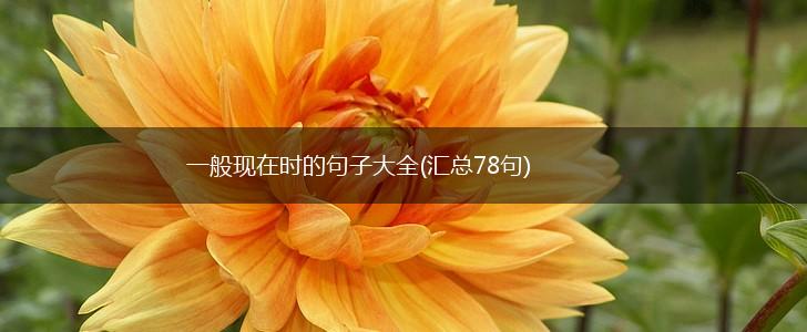 一般现在时的句子大全(汇总78句),第1张