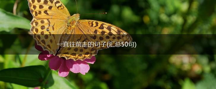 一直往前走的句子(汇总50句),第1张