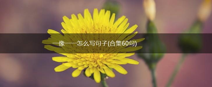 一像一一怎么写句子(合集60句),第1张