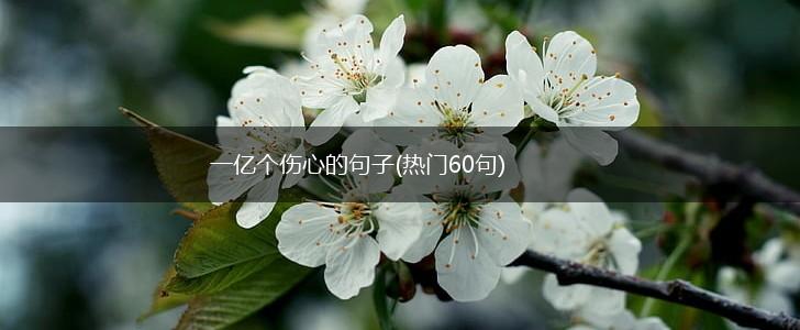 一亿个伤心的句子(热门60句),第1张