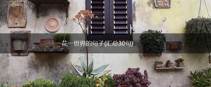 一花一世界的句子(汇总30句),第1张