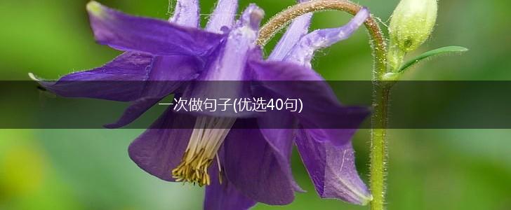 一次做句子(优选40句),第1张