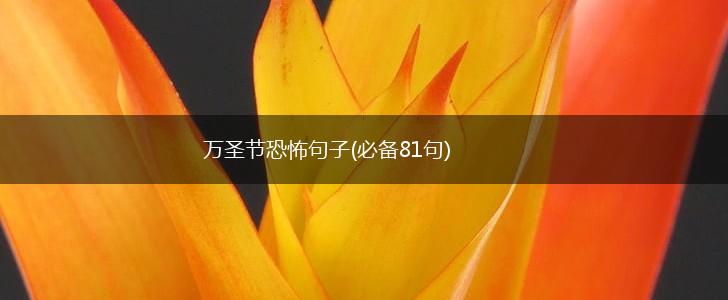 万圣节恐怖句子(必备81句),第1张