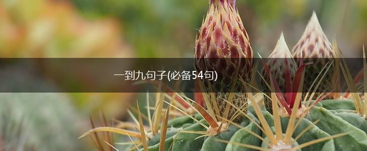一到九句子(必备54句),第1张