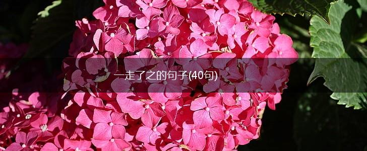 一走了之的句子(40句),第1张