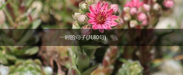 一时的句子(共80句),第1张