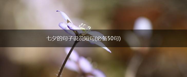 七夕的句子说说短句(必备50句),第1张