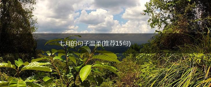 七月的句子温柔(推荐15句),第1张