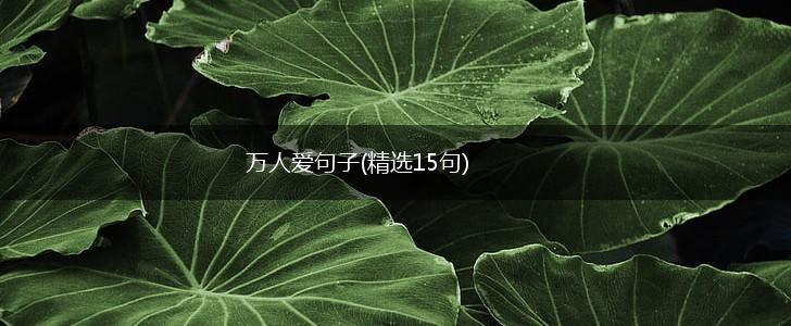 万人爱句子(精选15句),第1张