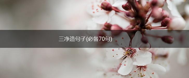 三净造句子(必备70句),第1张