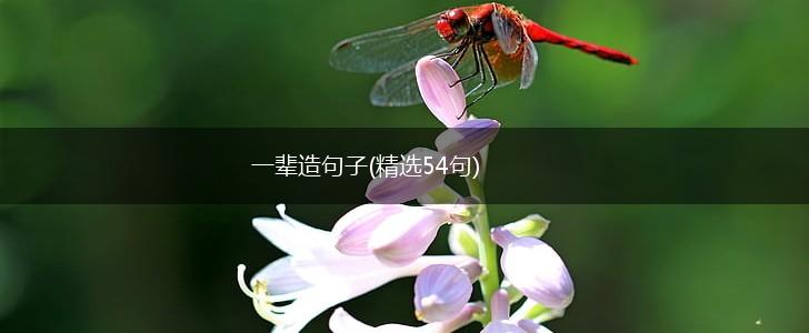 一辈造句子(精选54句),第1张