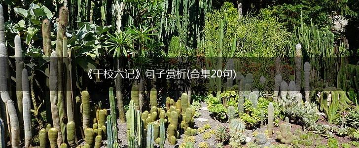 《干校六记》句子赏析(合集20句),第1张
