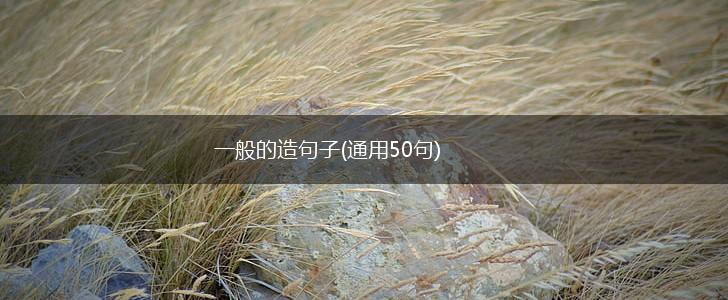 一般的造句子(通用50句),第1张