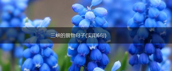 三峡的景物句子(实用6句),第1张