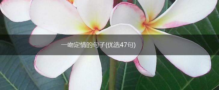 一吻定情的句子(优选47句),第1张
