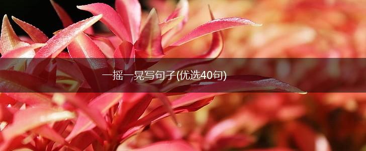 一摇一晃写句子(优选40句),第1张