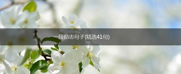 一段励志句子(精选41句),第1张
