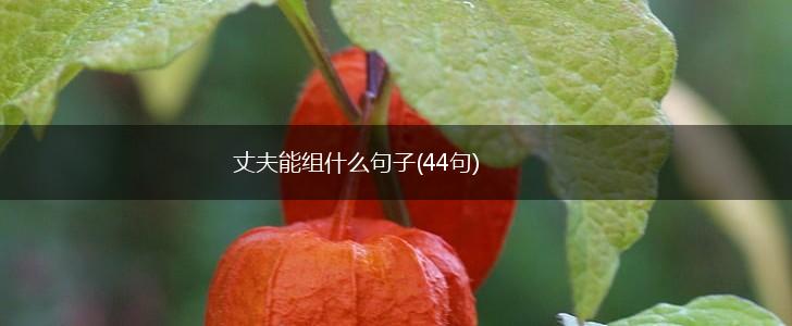 丈夫能组什么句子(44句),第1张