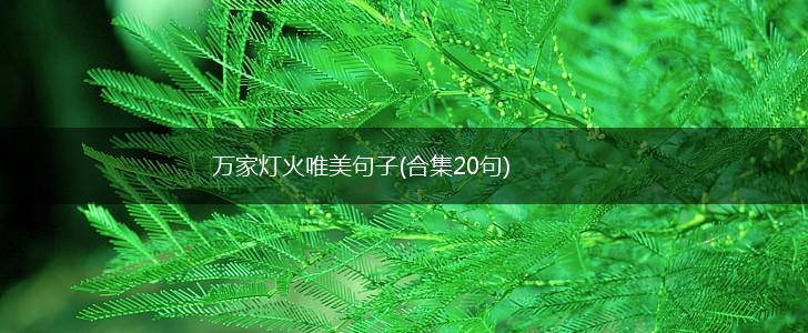 万家灯火唯美句子(合集20句),第1张