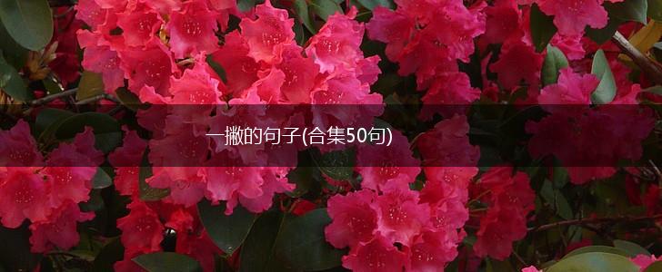 一撇的句子(合集50句),第1张