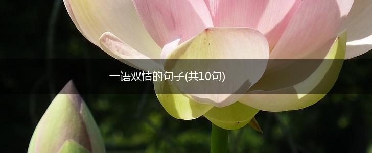一语双情的句子(共10句),第1张