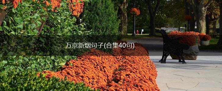 万京新烟句子(合集40句),第1张