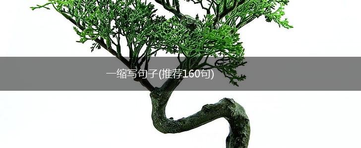 一缩写句子(推荐160句),第1张