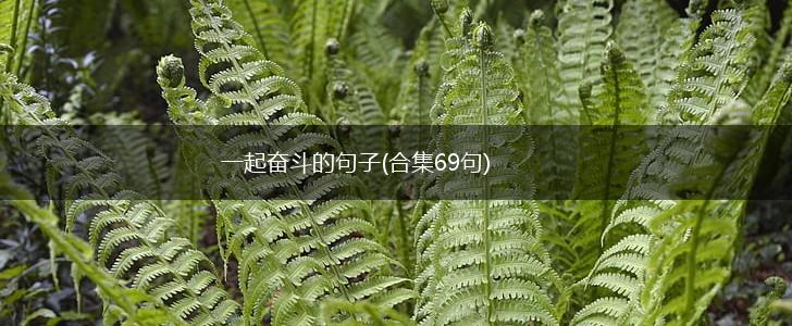 一起奋斗的句子(合集69句),第1张