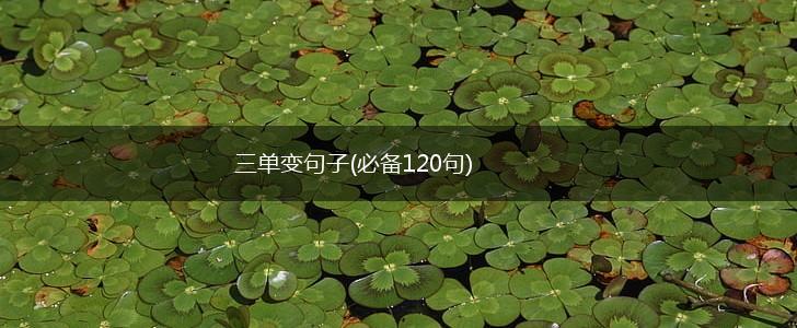 三单变句子(必备120句),第1张