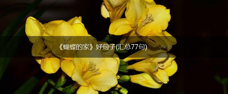 《蝴蝶的家》好句子(汇总77句),第1张