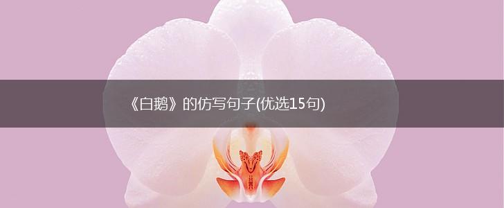《白鹅》的仿写句子(优选15句),第1张