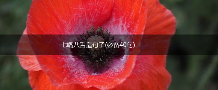七嘴八舌造句子(必备40句),第1张