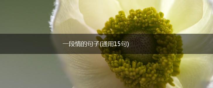 一段情的句子(通用15句),第1张