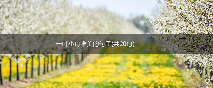 一叶小舟唯美的句子(共20句),第1张
