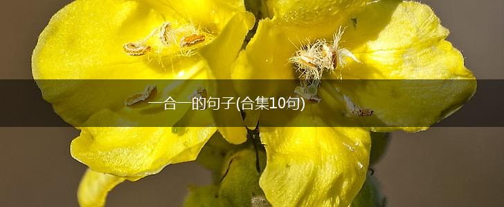 一合一的句子(合集10句),第1张