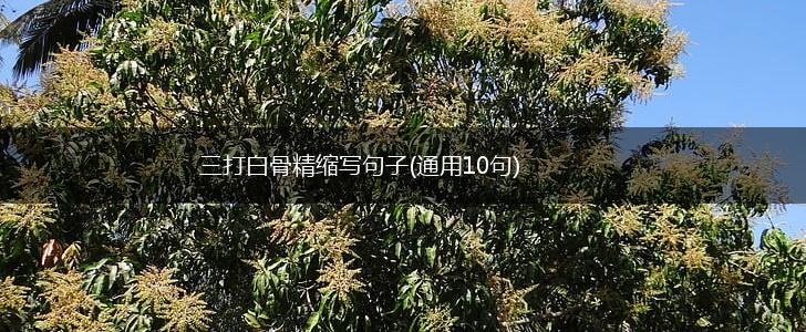 三打白骨精缩写句子(通用10句),第1张