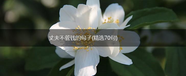 丈夫不管钱的句子(精选70句),第1张