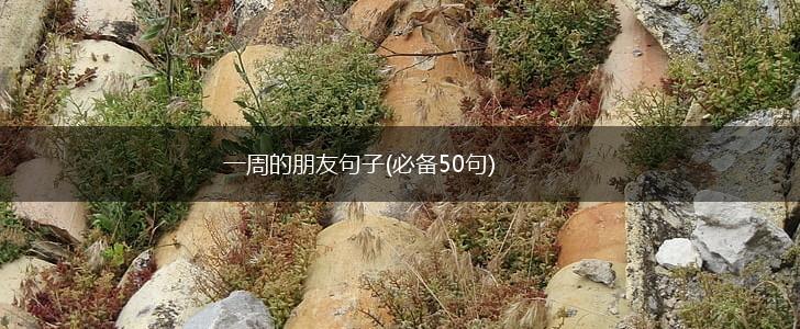 一周的朋友句子(必备50句),第1张